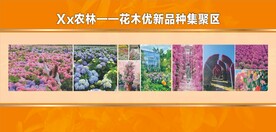 文化展板