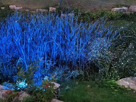 公园夜景 花草灯光秀