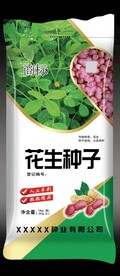 花生种子