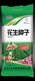 花生种子