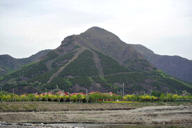 山