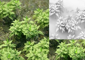 C4D模型 绿色植物