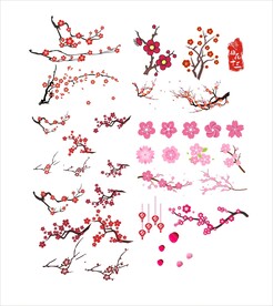 梅花免抠图