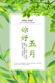 你好五月海报 