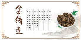 金钱莲