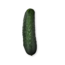 黄瓜