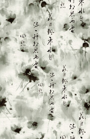 国风小荷花
