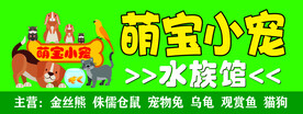宠物店