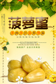  菠萝蜜 
