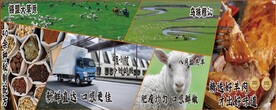 苏尼特羊