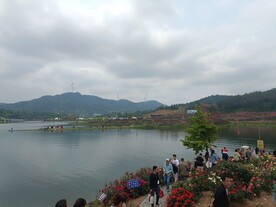 水岸风光