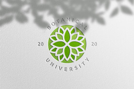 logo贴图