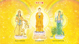 华严三圣壁纸 毗卢遮那佛