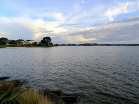 奥克兰海边风景