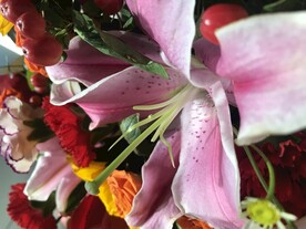 鲜花百合花