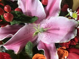 鲜花百合花 