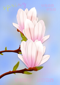 玉兰花