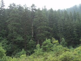 山路风景