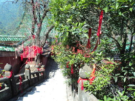 山路风景