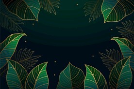 线描植物背景         