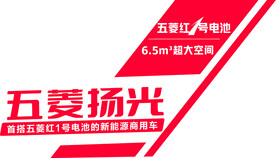 五菱扬光主驾驶车身贴
