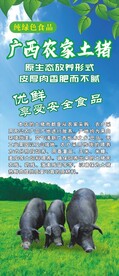 广西农家土猪