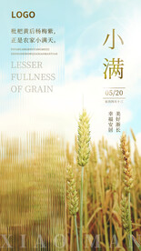 二十四节气小满海报