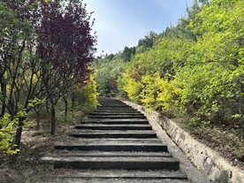 山间步道
