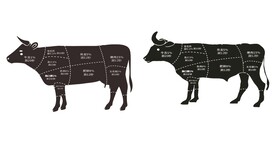牛肉火锅 牛肉切割图