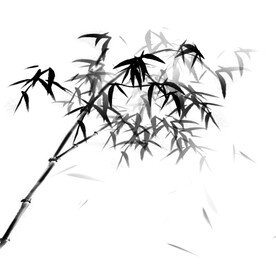 竹子素材