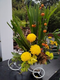 黄色菊花