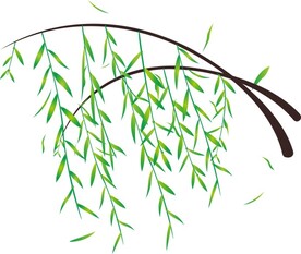 柳枝