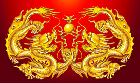 金龙素材