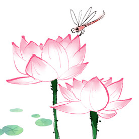 荷花素材