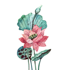 荷花素材
