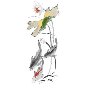 荷花素材