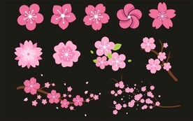 矢量梅花