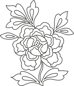 花线条