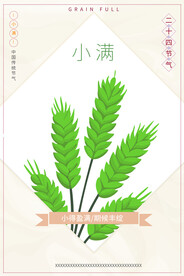 传统节日二十四节气海报小满海报