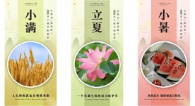 简约大气小满夏天节日季节系列