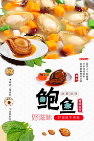 鲍鱼