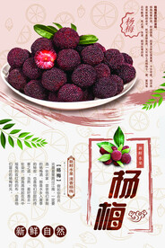 杨梅