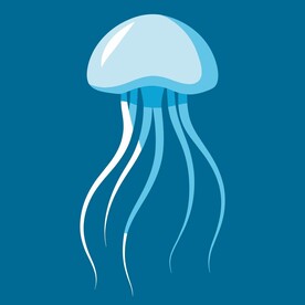 水母