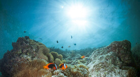 海底世界珊瑚礁水族馆
