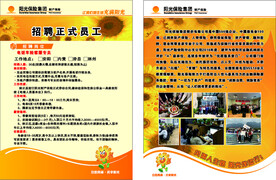 阳光保险单页