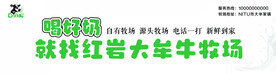 奶牛牧场