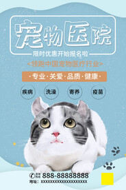 宠物医院海报