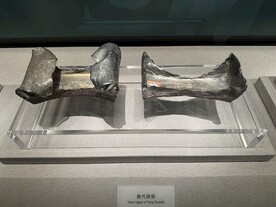 中国钱币博物馆唐代银铤