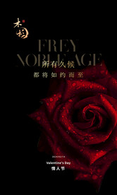 玫瑰情人节海报