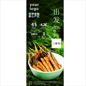 虫草海报